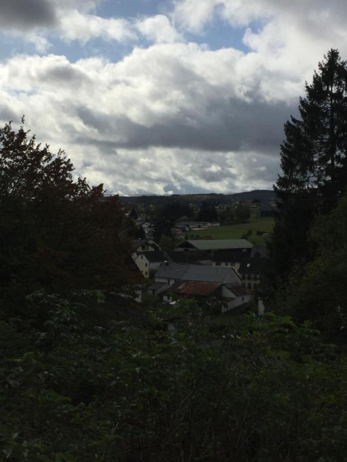 Ferienhaus Burggraf Kelberg Esterno foto